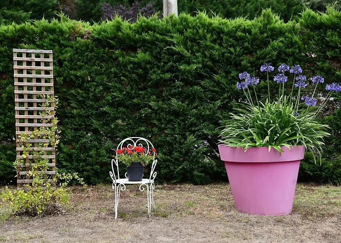 Les D'any Et Jean-louis Couette-café 3*